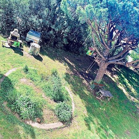 Grand T3 Frejus Base Nature Eksteriør bilde